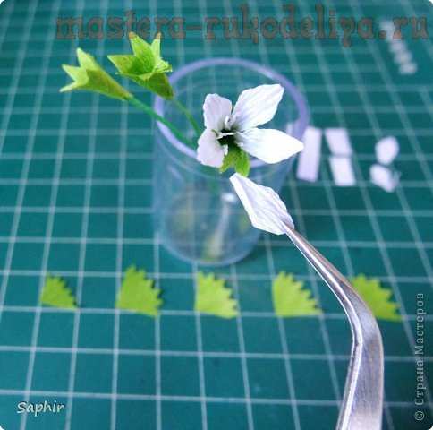 Мастер-класс по флористике: Маленькие цветочки из бумаги Кристалл
