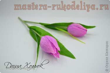 Мастер-класс по букетам из конфет: Розовые тюльпаны