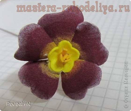 Мастер-класс по цветам из фоамирана: Примула