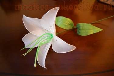 Мастер-класс по созданию цветов из капрона: Белая лилия