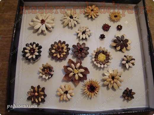 Мастер-класс по декорированию: Цветы из пуговиц и семян