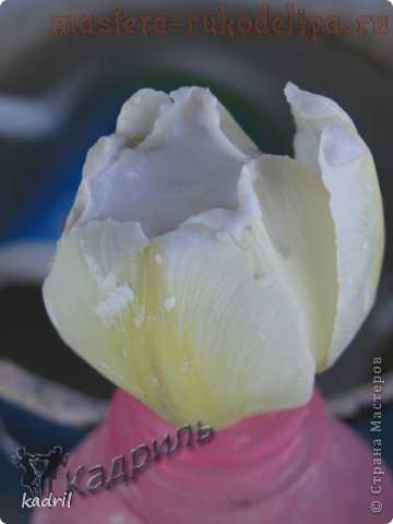 Мастер-класс: Гипсовые отливки по тюльпанам