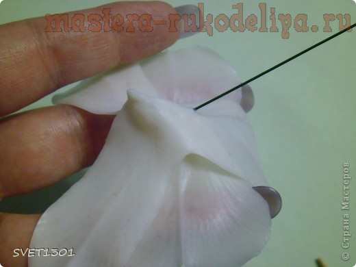 Мастер-класс по лепке из холодного фарфора: Орхидея дендробиум