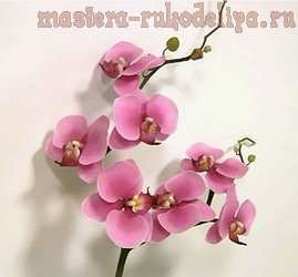 Мастер-класс по керамической флористике: Орхидея из полимерной глины