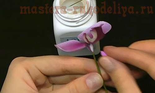 Мастер-класс по керамической флористике: Орхидея