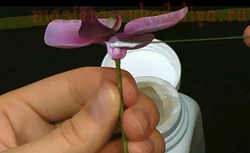 Мастер-класс по керамической флористике: Орхидея