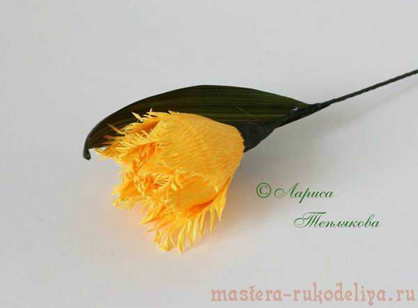 Мастер-класс по свит-дизайну: Игольчатый тюльпан