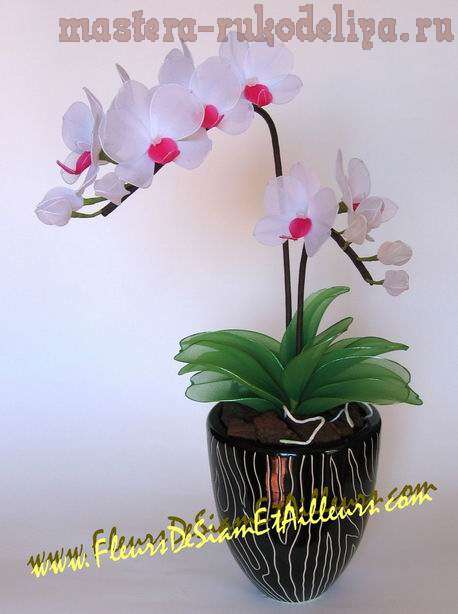 Мастер-класс: Орхидея Фаленопсис из капроновых колготок