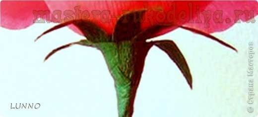 Мастер-класс по флористике: Аленький цветочек из креповой бумаги