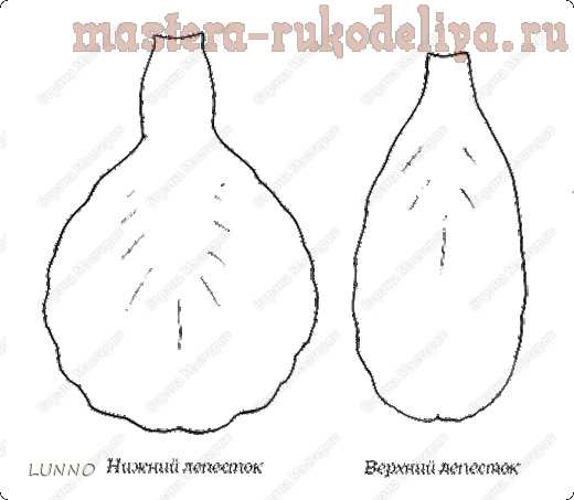 Мастер-класс по флористике: Ирис из креповой бумаги