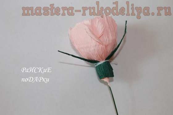 Мастер-класс по букетам из конфет: Роза из гофробумаги