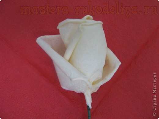 Мастер-класс: Розы из бумажных салфеток
