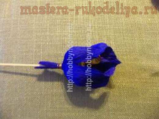 Мастер-класс по букетам из конфет: Синий ирис