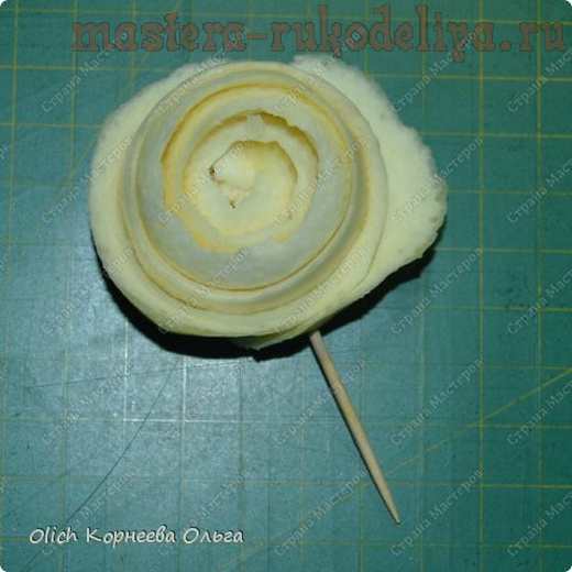 Мастер-класс по фйлористике: Цветные розы из кожуры цитрусовых