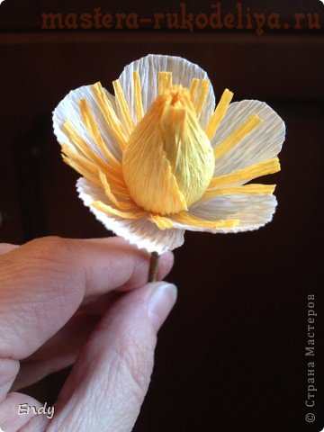 Мастер-класс по букетам из конфет: Ягодки и цветочки клубники