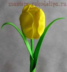 Видео мастер-класс по цветам своими руками: Желтый тюльпан из фоамирана