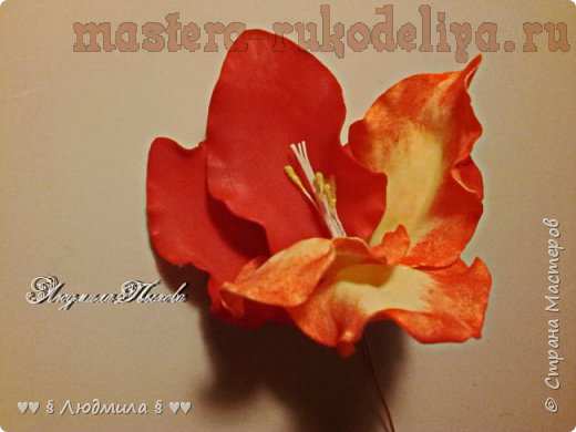 Мастер-класс по цветам из фоамирана: Гладиолусы