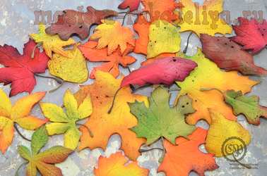 Осенние листья из фоамирана шаблоны