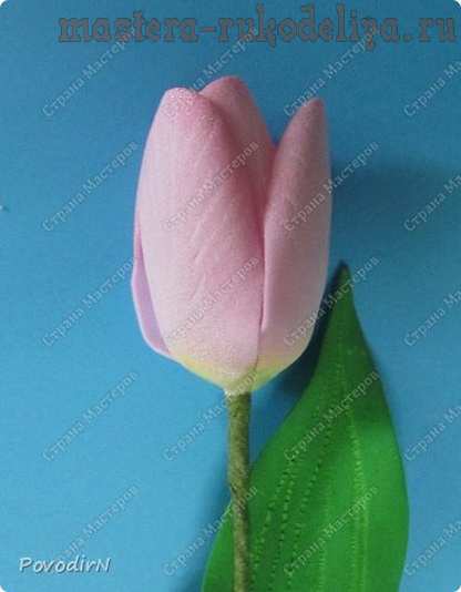 Мастер-класс по цветам из фоамирана: Тюльпаны