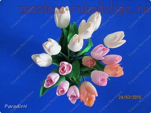 Мастер-класс по цветам из фоамирана: Тюльпаны