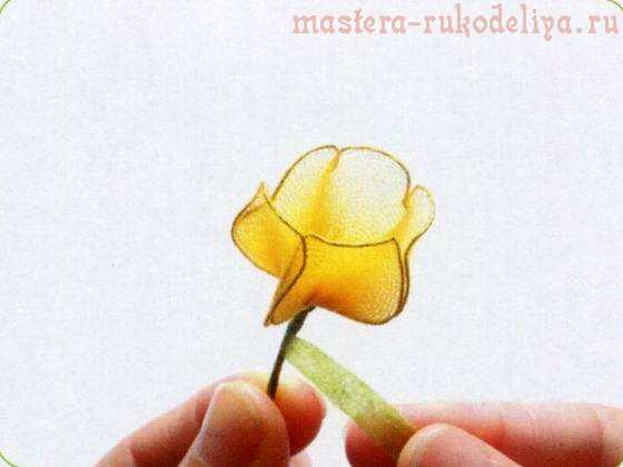 Мастер-класс по созданию цветов из капрона: Сандерсония - Китайская лилия-фонарик 