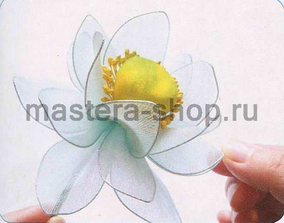 Мастер-класс по созданию цветов из капрона: Цветы лотоса