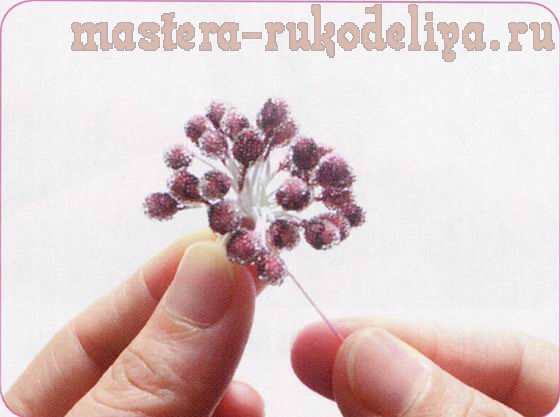 Мастер-класс по созданию цветов из капрона: Цветок хлопкового дерева