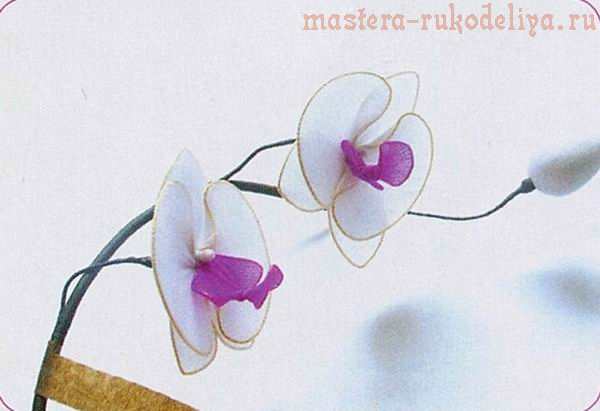 Мастер-класс по созданию цветов из капрона: Веточка орхидеи Фаленопсис