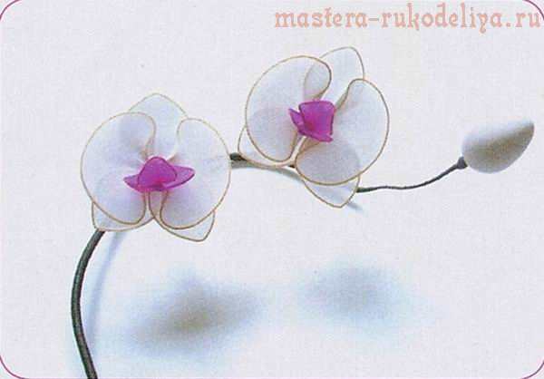 Мастер-класс по созданию цветов из капрона: Веточка орхидеи Фаленопсис