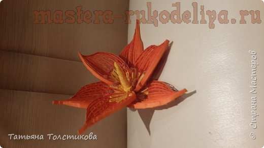 Мастер-класс по квиллингу: Цветы в петельчатой технике
