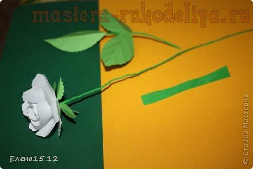 Мастер-класс по цветам из бумаги: Весенний букет
