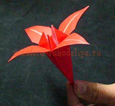 Видео мастер-класс: Оригами - Лилия