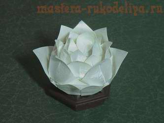 Видео мастер-класс по оригами: Цветок лотоса