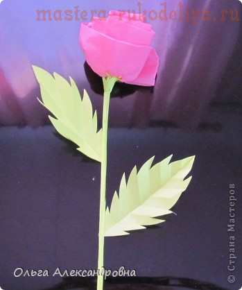 Фото мастер-класс: Розы из салфеток
