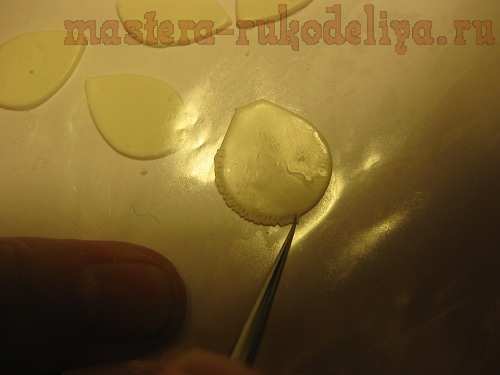 Мастер-класс по лепке из полимерной глины: Дендробиум Фармери