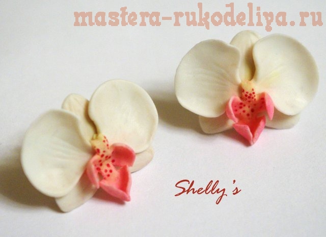 Мастер-класс по лепке из полимерной глины: Орхидея Фаленопсис