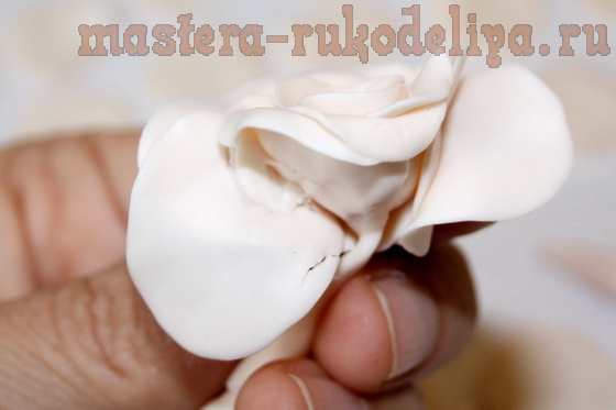 Мастер-класс по лепке из полимерной глины: Нежная роза