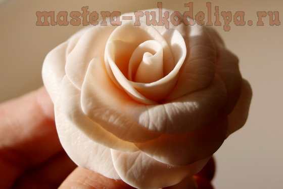 Мастер-класс по лепке из полимерной глины: Нежная роза