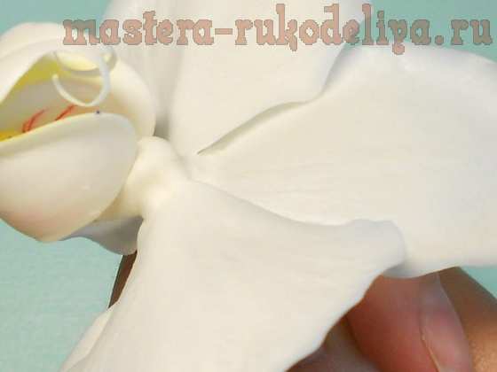 Мастер-класс по керамической флористике: Орхидея Фаленопсис