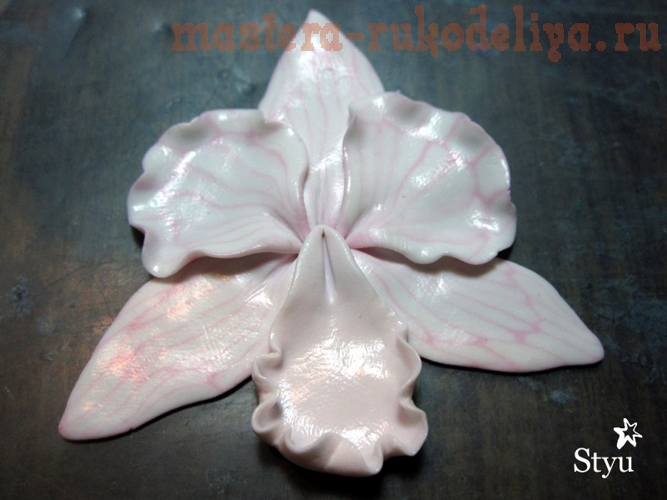 Мастер-класс по работе с полимерной глиной: Орхидея