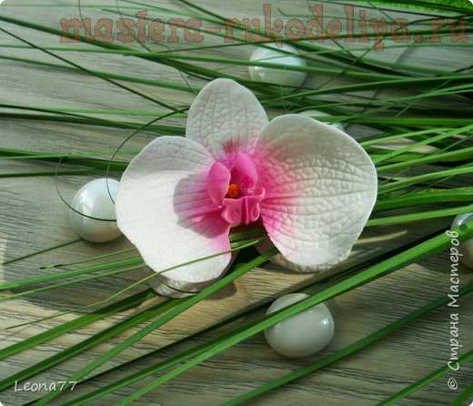Мастер-класс по лепке из полимерной глины: Орхидея на зажиме