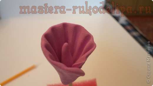 Мастер-класс по лепке из полимерной глины: Цветочки