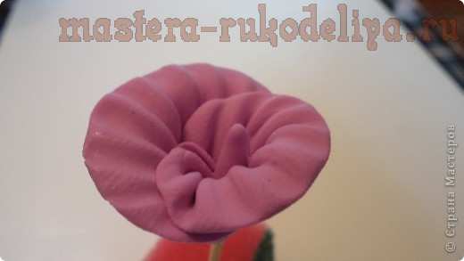 Мастер-класс по лепке из полимерной глины: Цветочки