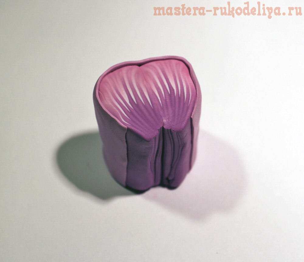 Мастер-класс по лепке из полимерной глины: Виола