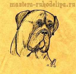 Видео мастер-класс по рисованию ручкой: Рисуем собаку Бульмастиф