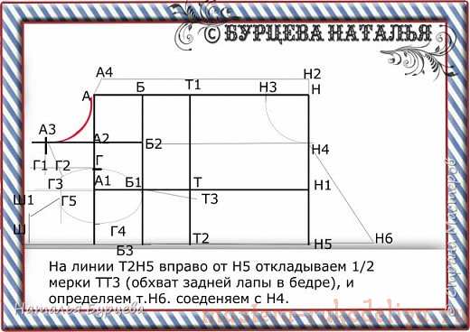 Мастер-класс: Построение базовой выкройки для моделирования и шитья одежды для собак