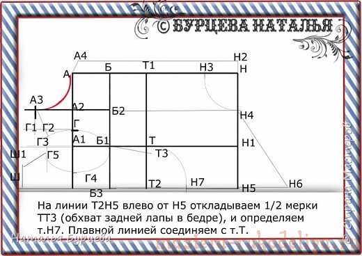 Мастер-класс: Построение базовой выкройки для моделирования и шитья одежды для собак