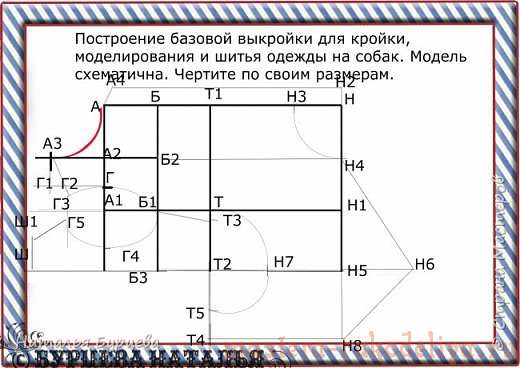 Мастер-класс: Построение базовой выкройки для моделирования и шитья одежды для собак