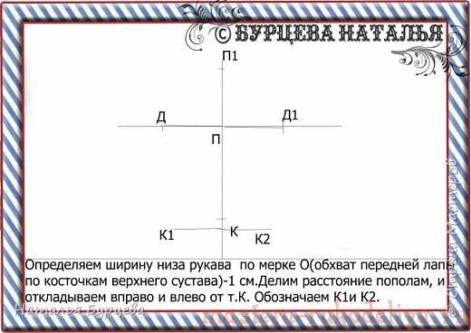 Мастер-класс: Построение базовой выкройки для моделирования и шитья одежды для собак