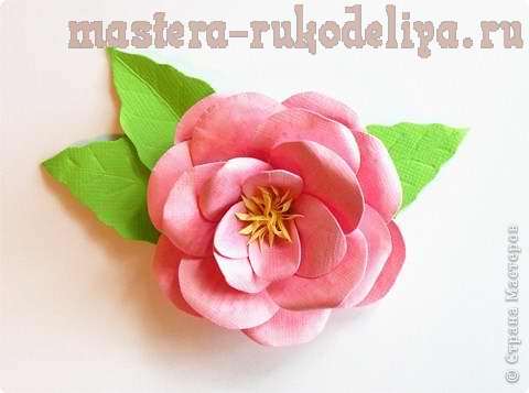 Мастер-класс: Цветы из бумаги - Роза